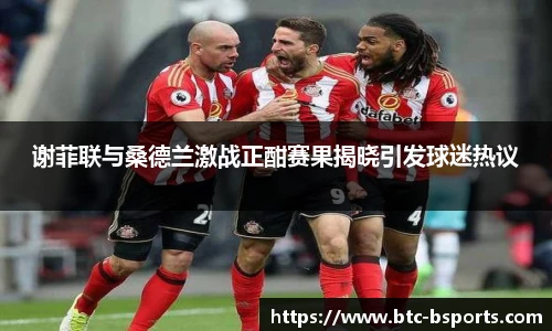 谢菲联与桑德兰激战正酣赛果揭晓引发球迷热议